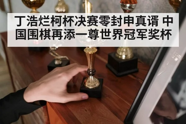 丁浩烂柯杯决赛零封申真谞 中国围棋再添一尊世界冠军奖杯 | kaiyun app