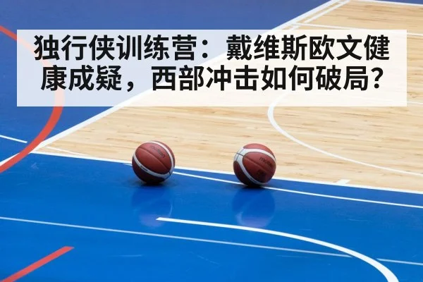独行侠训练营：戴维斯欧文健康成疑，西部冲击如何破局？ - kaiyun app